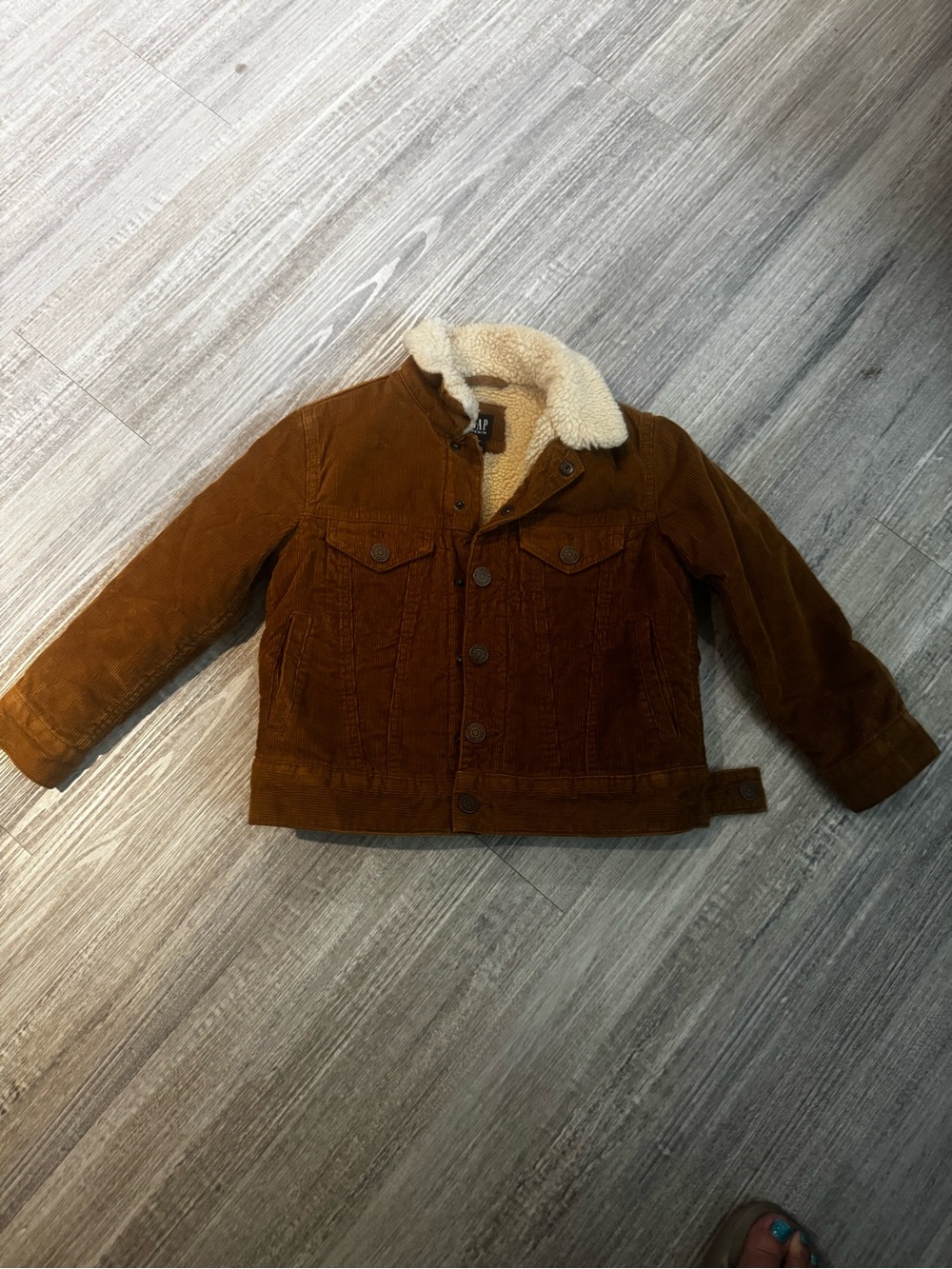 GAP Brown Corduroy Jacket with Cream Sherpa Collar